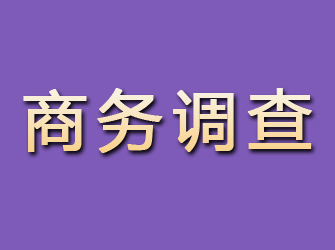 赤城商务调查